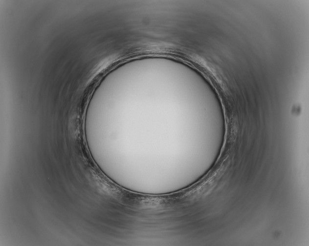 X0000097291211200802291742