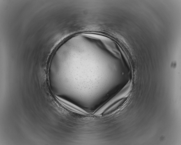 X0000097291212200802291742