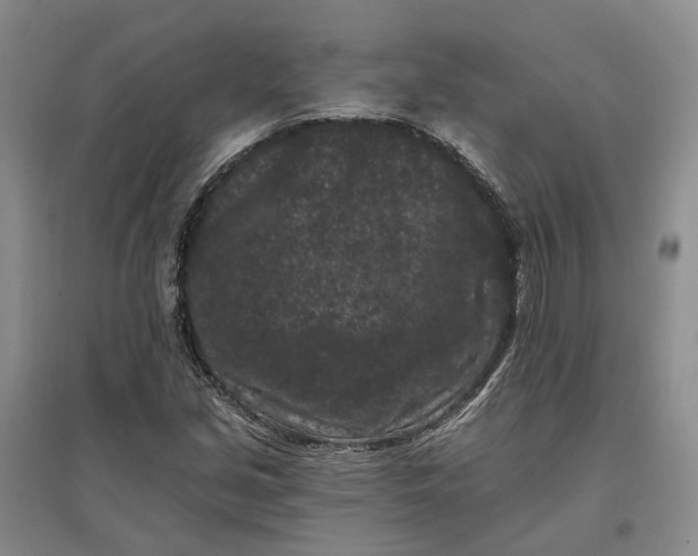 X0000097291213200802291742