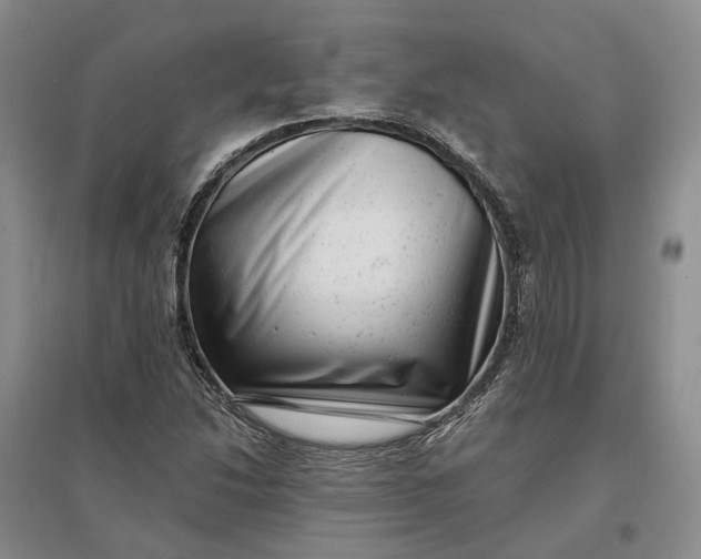 X0000097291214200802291742