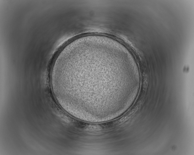 X0000097291215200802291742