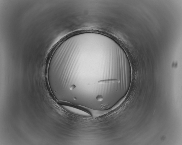X0000097291216200802291742