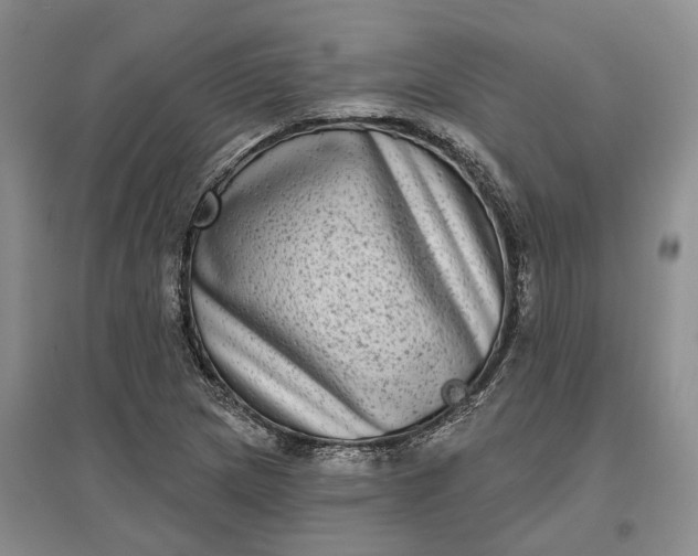 X0000097291217200802291742