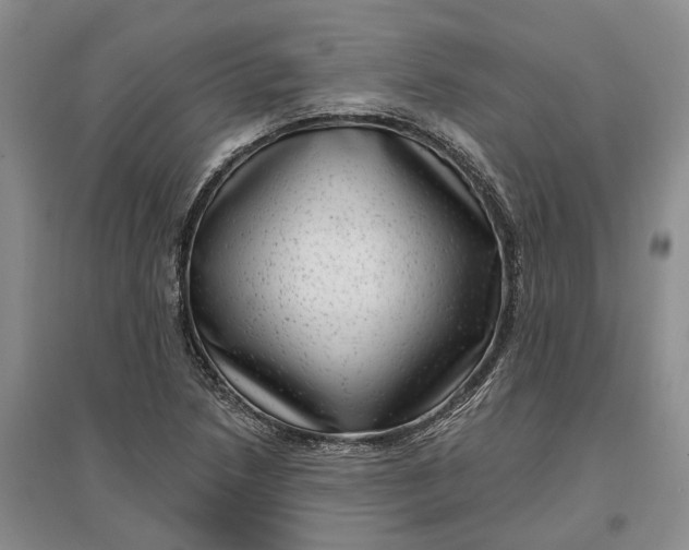X0000097291218200802291742