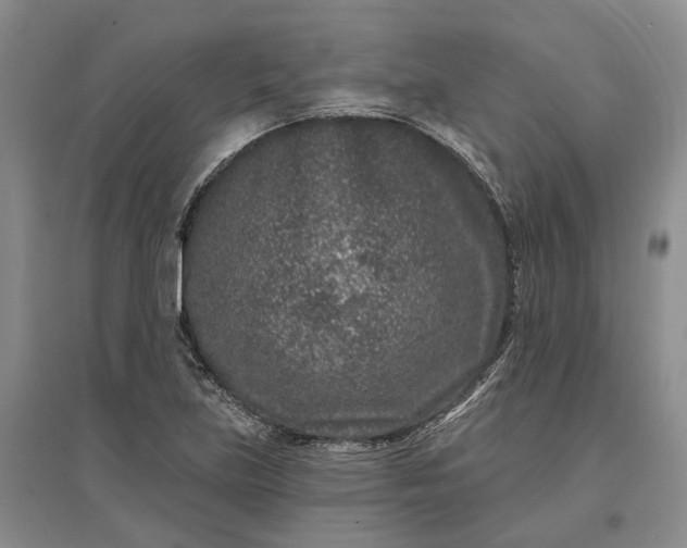 X0000097291219200802291742