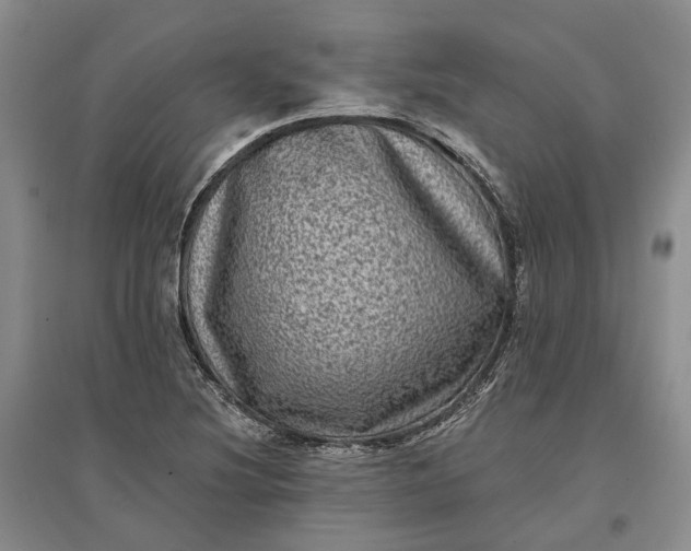 X0000097291220200802291742