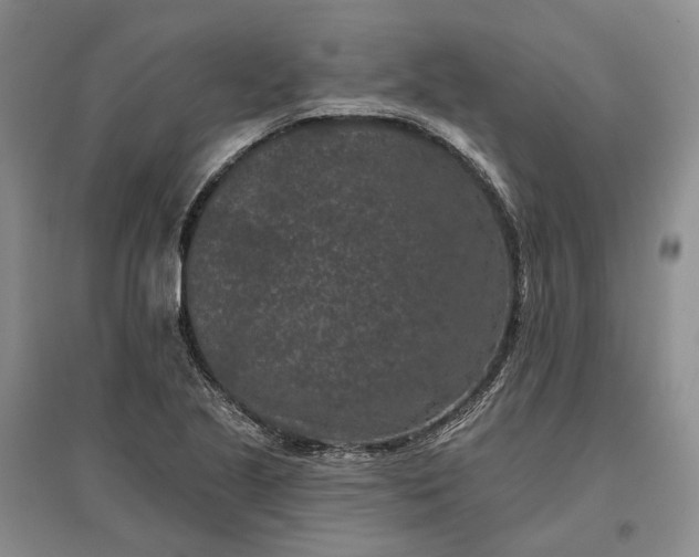 X0000097291221200802291742