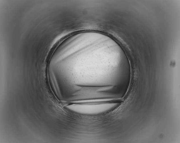 X0000097291222200802291742