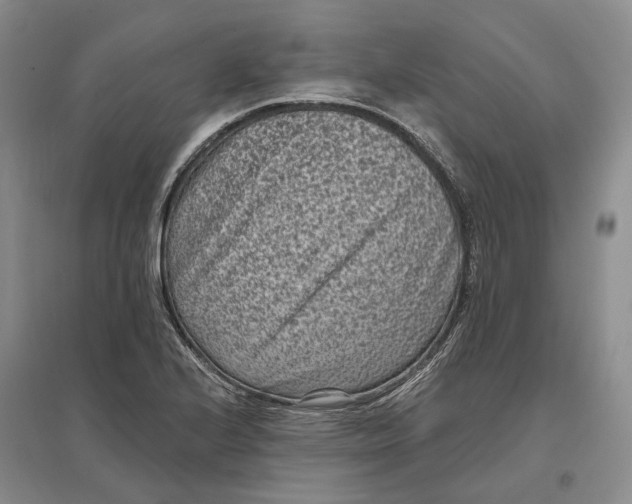 X0000097291224200802291742