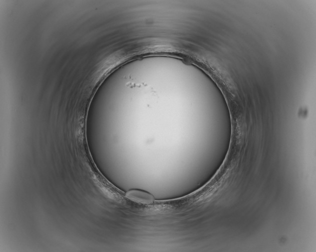 X0000097291225200802291742