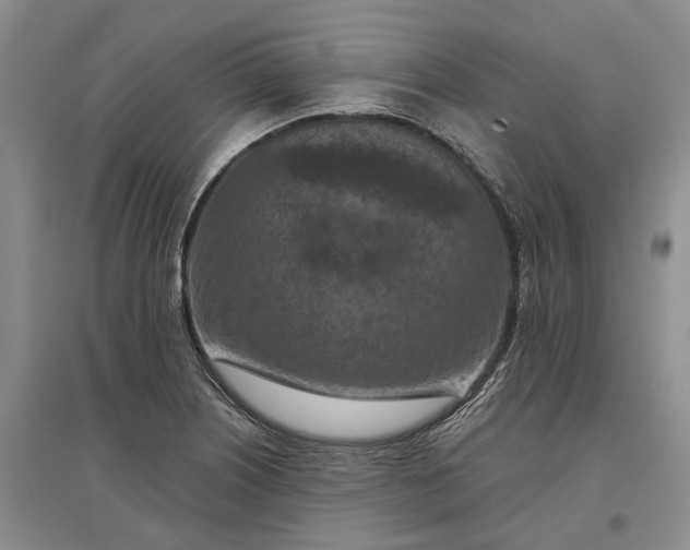 X0000097291226200802291742