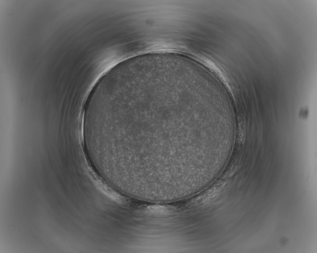 X0000097291227200802291743
