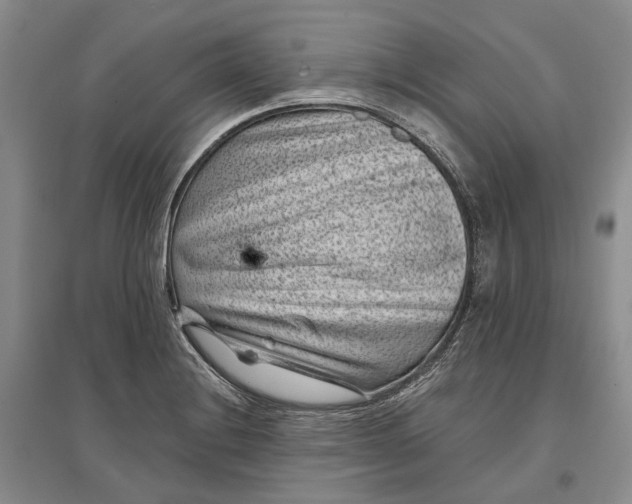 X0000097291228200802291743
