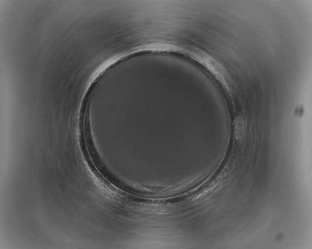 X0000097291229200802291743