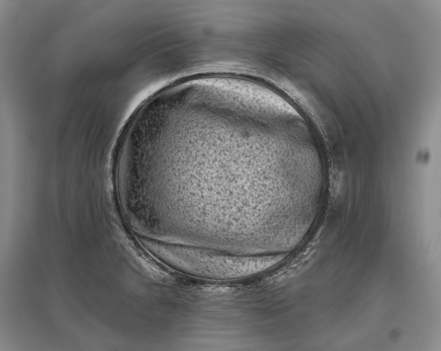 X0000097291230200802291743