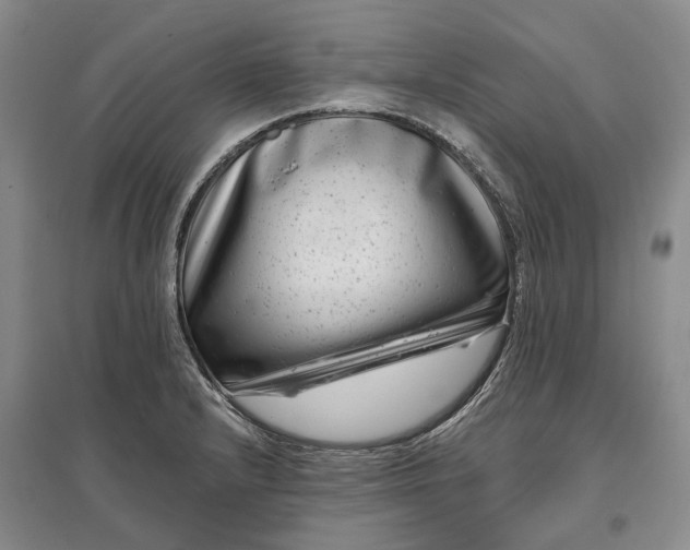 X0000097291232200802291743