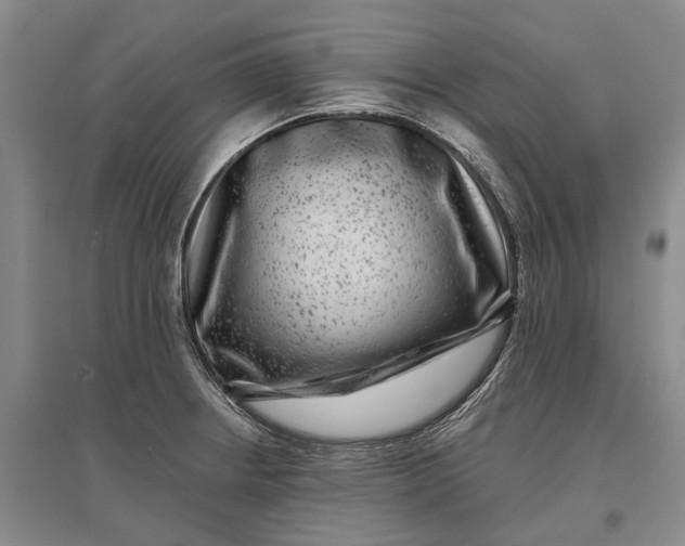 X0000097291234200802291743