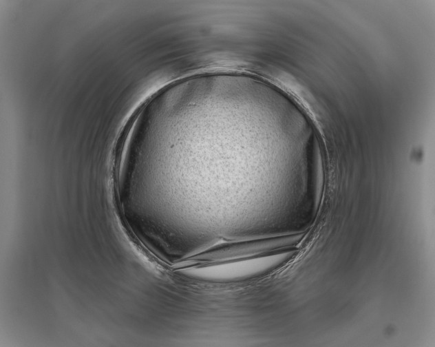 X0000097291235200802291743