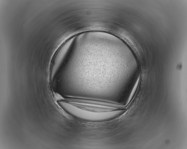 X0000097291236200802291743