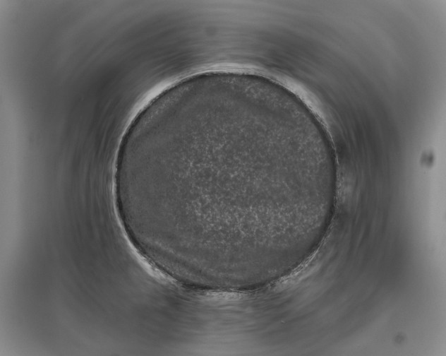 X0000097291237200802291743