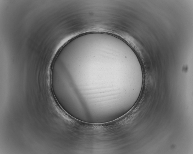X0000097291238200802291743