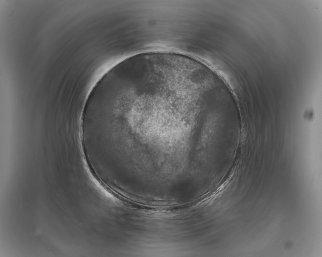 X0000097291239200802291743