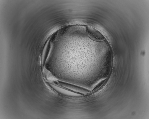X0000097291241200802291743