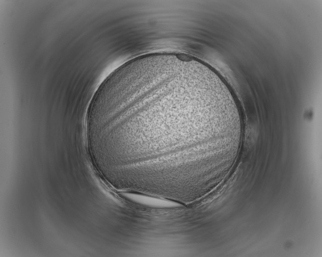 X0000097291242200802291743