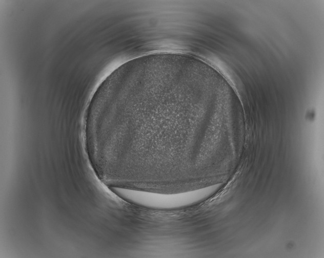 X0000097291243200802291743