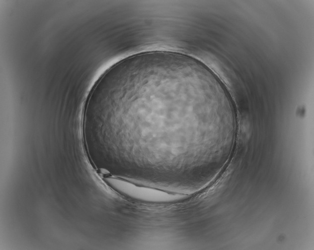 X0000097291246200802291743