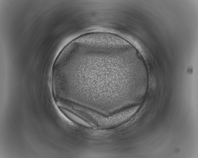 X0000097291247200802291743