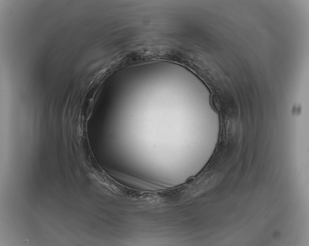X0000097291250200802291742