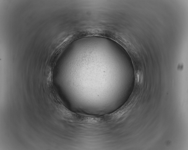 X0000097291251200802291742