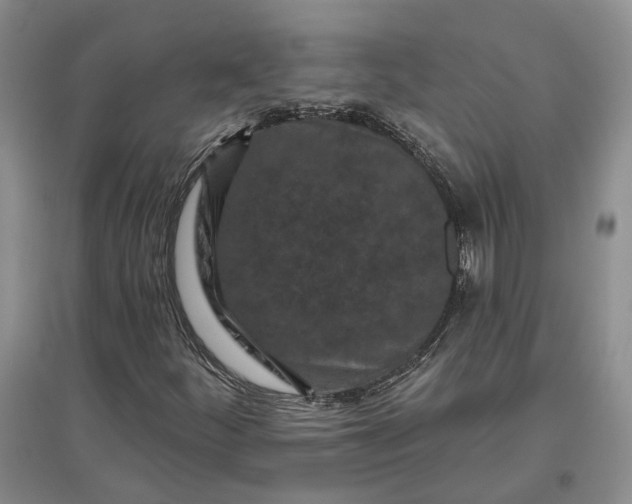 X0000097291252200802291742