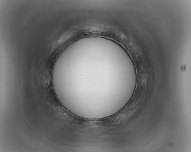 X0000097291253200802291742