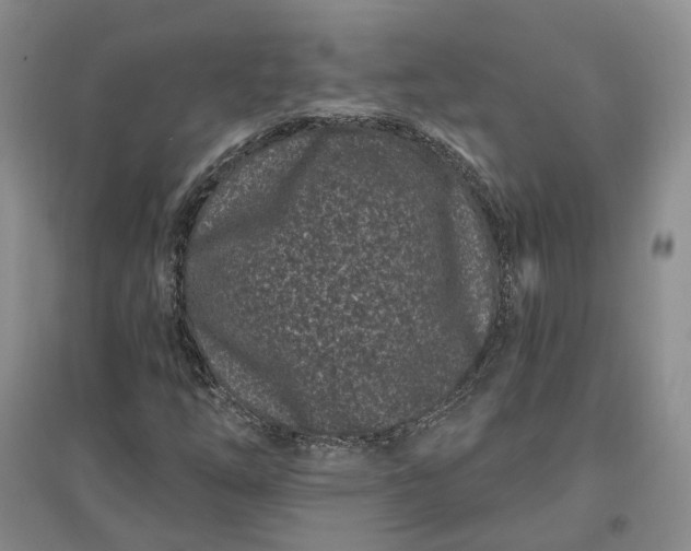 X0000097291254200802291742