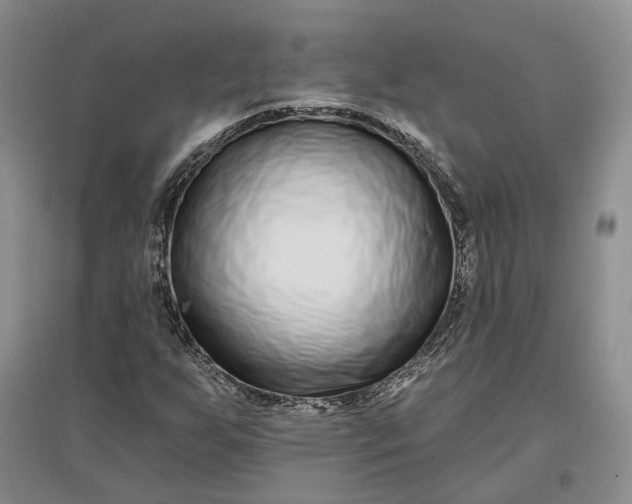 X0000097291255200802291742