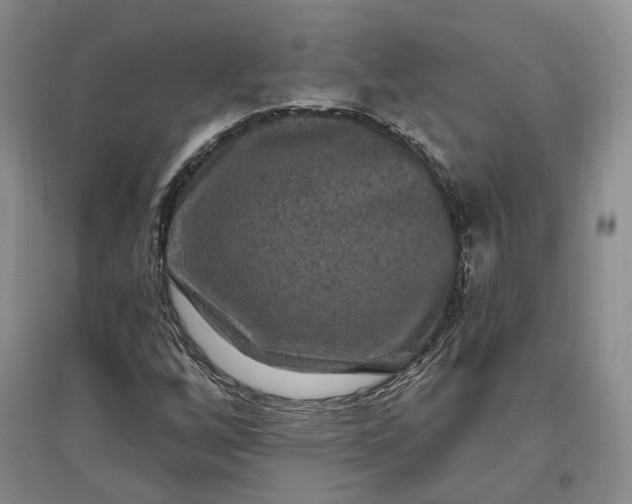 X0000097291256200802291742