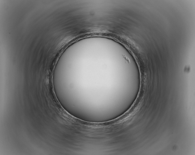 X0000097291257200802291742