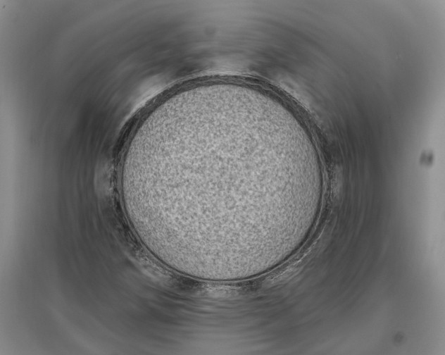 X0000097291258200802291742