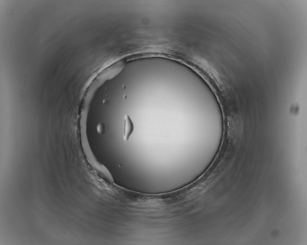 X0000097291260200802291742