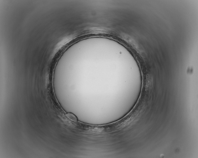 X0000097291261200802291742