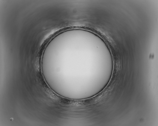 X0000097291262200802291742