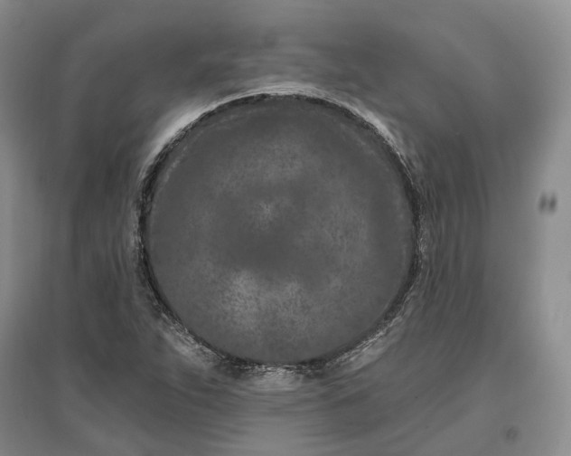 X0000097291263200802291742