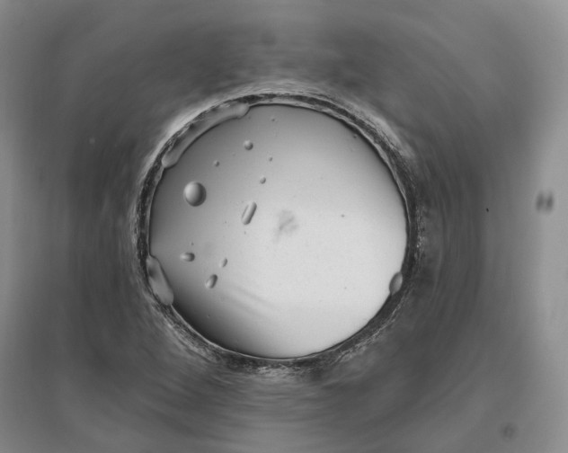 X0000097291264200802291742