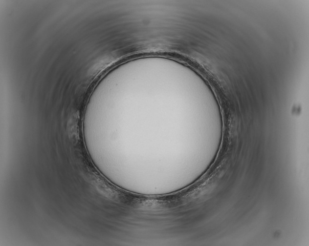 X0000097291265200802291742