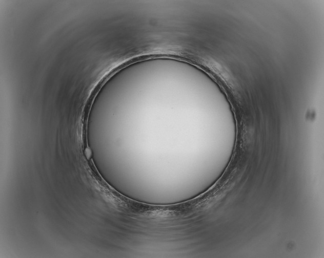 X0000097291268200802291742