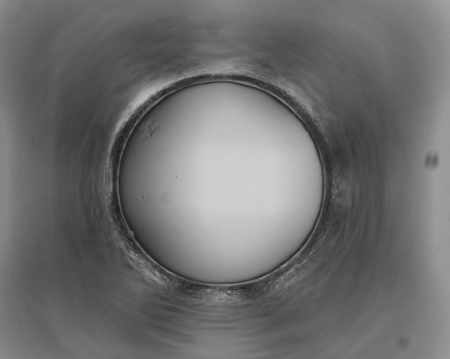 X0000097291270200802291742