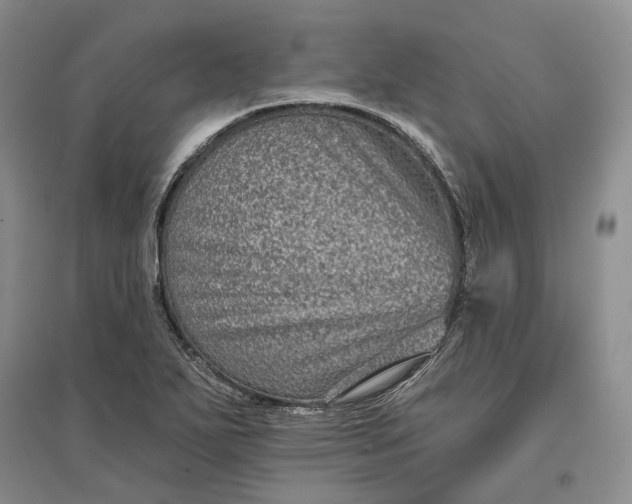 X0000097291271200802291742