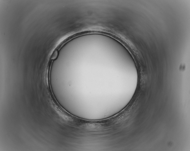X0000097291272200802291742
